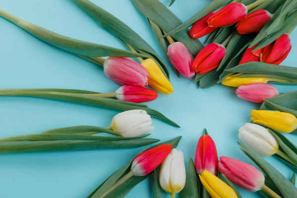 Modelo Cartão Saudação Dia Mulher Moldura Tulipas Primavera Fundo Vista — Fotografia de Stock