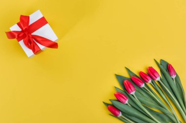 Sevgililer günü kavramı. Sevgililer günü lale. Sevgililer günü, Woman's Day, anneler günü için tatil tebrik kartı.