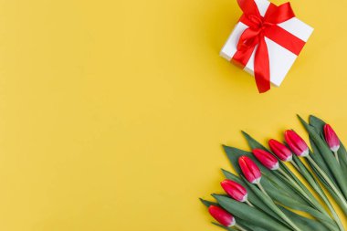 Sevgililer günü kavramı. Sevgililer günü lale. Sevgililer günü, Woman's Day, anneler günü için tatil tebrik kartı.