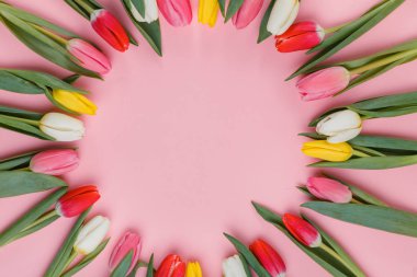 Bahar Lale çiçek kavramı. Sevgililer günü, Woman's Day, anneler günü.