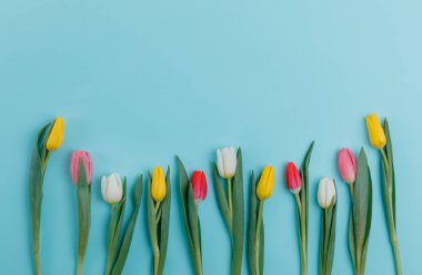 Bahar Lale çiçek kavramı. Sevgililer günü, Woman's Day, anneler günü.