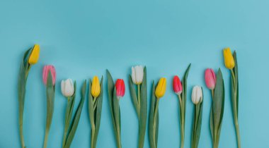 Bahar Lale çiçek kavramı. Sevgililer günü, Woman's Day, anneler günü.