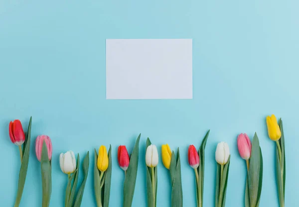 Spring Tulips Flowers Concept Valentine Day Woman Day Mother Day — Stock Photo, Image