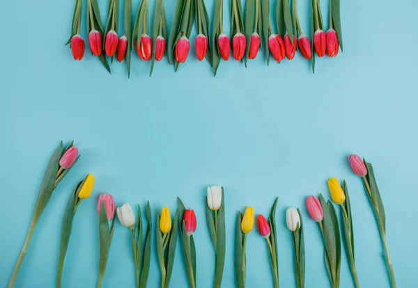 Spring Tulips Flowers Concept Valentine Day Woman Day Mother Day — Stock Photo, Image
