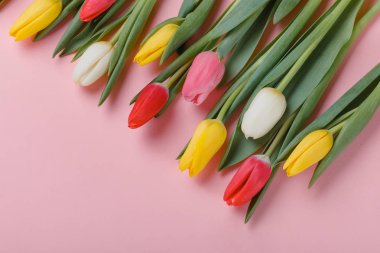 Bahar Lale çiçek kavramı. Sevgililer günü, Woman's Day, anneler günü.