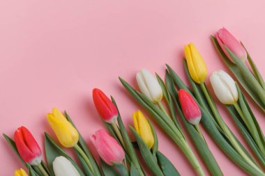 Bahar Lale çiçek kavramı. Sevgililer günü, Woman's Day, anneler günü.