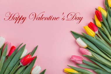 Bahar Lale çiçek kavramı. Sevgililer günü, Woman's Day, anneler günü.