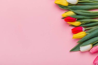 Bahar Lale çiçek kavramı. Sevgililer günü, Woman's Day, anneler günü.
