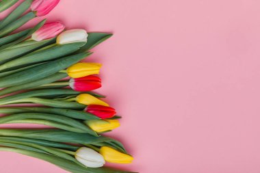 Bahar Lale çiçek kavramı. Sevgililer günü, Woman's Day, anneler günü.