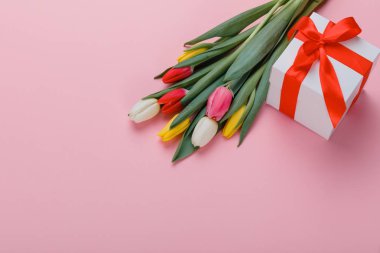 Bahar Lale çiçek kavramı. Sevgililer günü, Woman's Day, anneler günü.