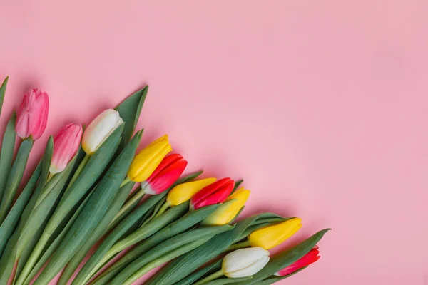 Spring Tulips Flowers Concept. Valentine's Day, Woman's Day, Mother's Day.