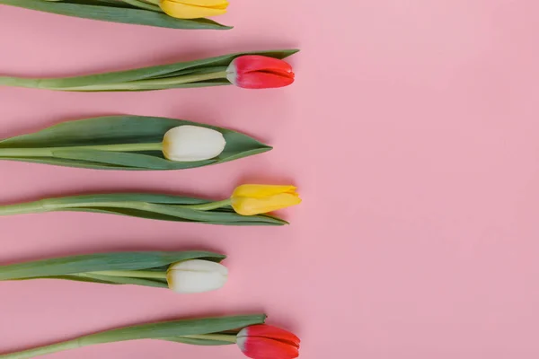 Frühlingstulpen Blühen Valentinstag Frauentag Muttertag — Stockfoto