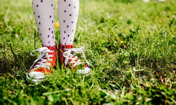 Dziewczęce Nogi Trawie Lato — Zdjęcie stockowe