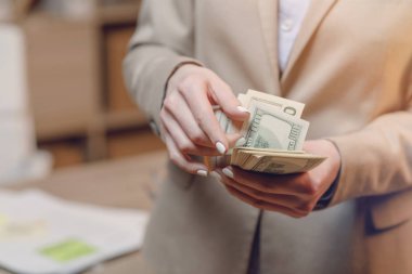 İşkadını nakit. Doları para tutan el.