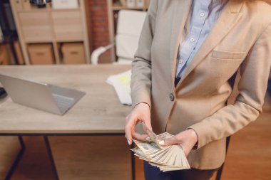 İşkadını nakit. Doları para tutan el.