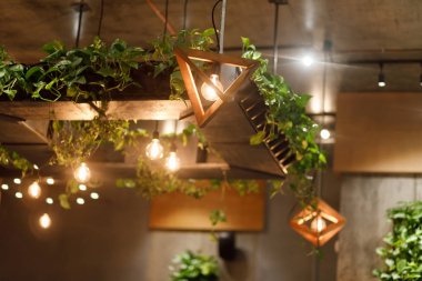 şık süslemeleri ile güzel kafe