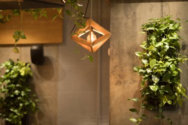 şık süslemeleri ile güzel kafe