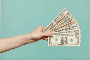 İş ve Finans kavramı. Nakit para. Amerikan doları para banknotları tutan kadın.