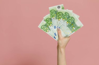 İş ve Finans kavramı. Nakit para. Euro para banknotları tutan kadın.