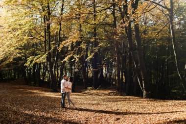 Romantik genç çift sonbahar parkında yürüyor. Parkta birlikte bir aile. Hamile çift.