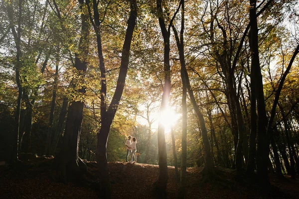 Romantikus Fiatal Pár Séta Ősszel Parkban Család Együtt Parkban Terhes — Stock Fotó