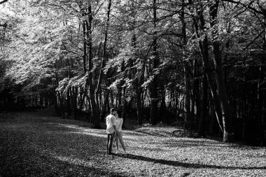 Romantik genç çift sonbahar parkında yürüyor. Parkta birlikte bir aile. Hamile çift.