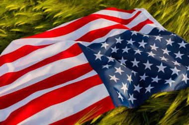 Buğday alanında Amerikan bayrağı tutan kadın. Amerika Patriots. Kız 4 Temmuz kutluyor.