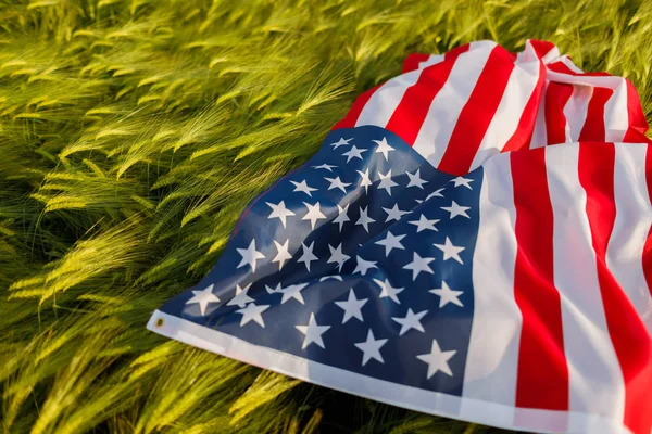 Mujer Con Bandera Americana Campo Trigo Patriotas América Chica Celebrando — Foto de Stock