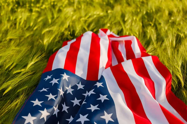 Mujer Con Bandera Americana Campo Trigo Patriotas América Chica Celebrando — Foto de Stock