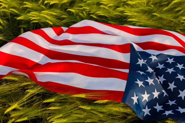 Woman Holding American Flag Wheat Field Patriots America Girl Celebrating — Stock Photo, Image