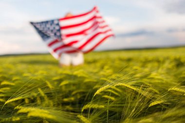 Buğday alanında Amerikan bayrağı tutan kadın. Amerika Patriots. Kız 4 Temmuz kutluyor.