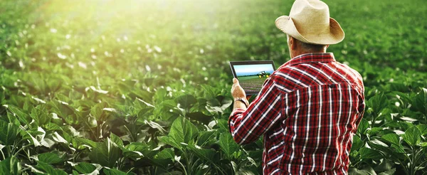 Landwirt Steht Auf Einem Weizenfeld Und Nutzt Moderne Technologien Der — Stockfoto
