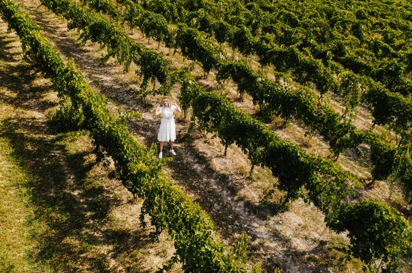 Vista Aérea Menina Bonita Chapéu Plantação Grande Vinha Mulher Turista — Fotografia de Stock