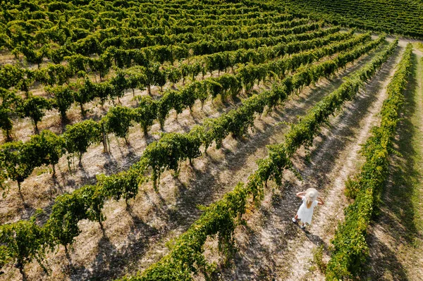 Vista Aérea Menina Bonita Chapéu Plantação Grande Vinha Mulher Turista — Fotografia de Stock