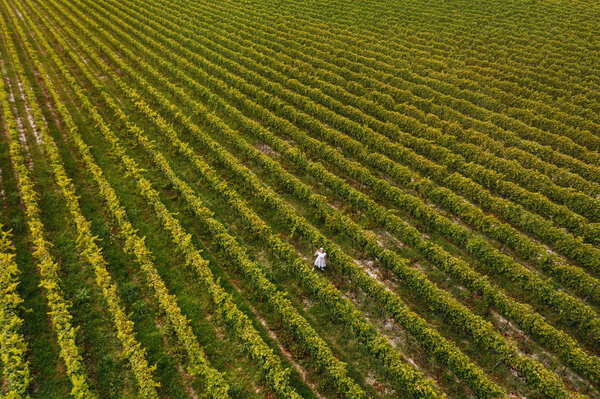 Aerial view of beautiful girl in hat stands on large vineyard plantation. Woman tourist walking in Tuscan vineyards in Tuscany, Italy.