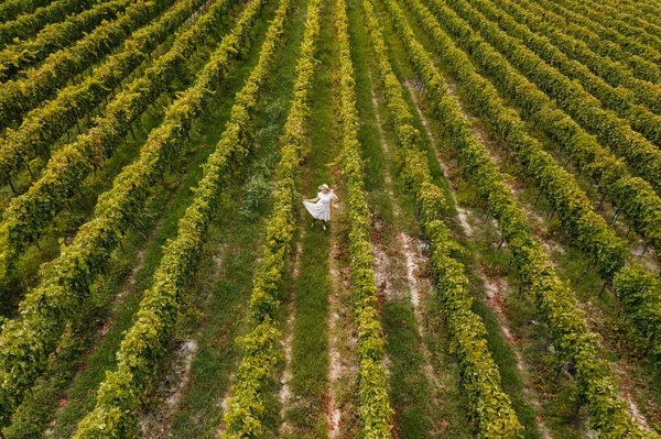 Vista Aérea Menina Bonita Chapéu Plantação Grande Vinha Mulher Turista — Fotografia de Stock