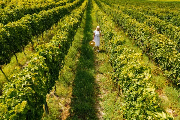 Luchtfoto Van Mooi Meisje Hoed Staat Grote Wijngaard Plantage Vrouw — Stockfoto
