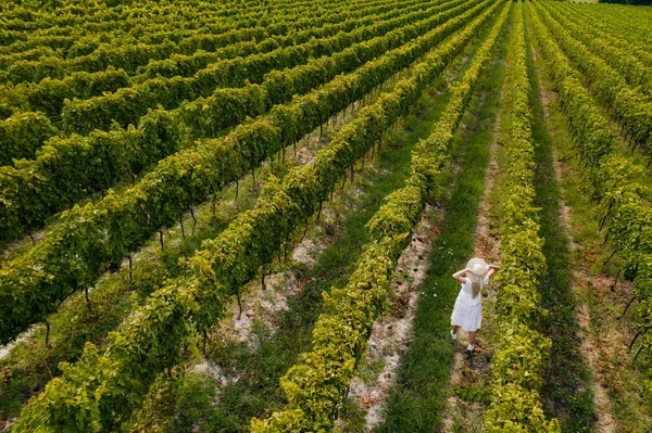 Vista Aérea Menina Bonita Chapéu Plantação Grande Vinha Mulher Turista — Fotografia de Stock