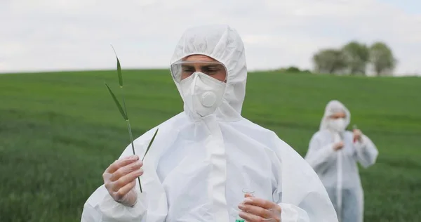 Portrait shot of Caucasian man biologist in white protective costume and goggles holding test tube with chemicals and herb of wheat in green field and exploring influence of pesticides. — 스톡 사진