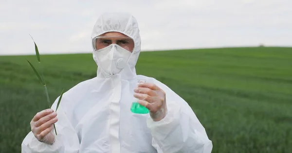Retrato de homem branco ecologista em terno protetor e óculos segurando tubo de ensaio com produtos químicos e ervas de trigo no campo verde, explorando a influência de pesticidas. Pesquisador masculino de alimentos orgânicos — Fotografia de Stock