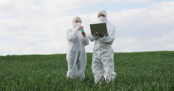 화학 살충제가 담긴 시험관을 들고 있는 백인 여성 농부 연구가 와 녹색 분야의 노트북 컴퓨터가 있는 남성 연구원이다. 유전학자 인 동료들이 밀밭에서 일하고 있다. — 스톡 사진