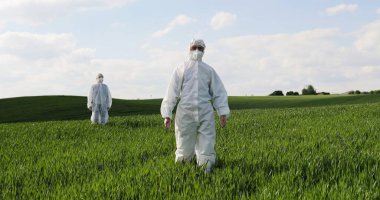 Caucasian male and female farmers ecologists in white protective costumes and goggles walking in green field in summer. Man and woman scientists and biologists strolling the margin with eco harvest.