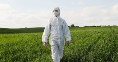 Caucasian male farmer ecologist in white protective costume and goggles walking in green field in summer. Man scientist and biologist strolling the margin with eco harvest.