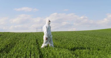 Side view on Caucasian male farmer ecologist in white protective costume and goggles walking in green field in summer. Man scientist and biologist strolling the margin with eco harvest.