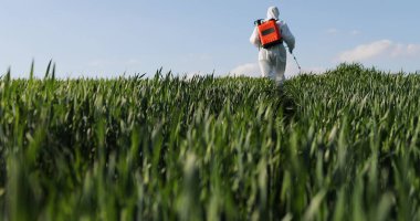 Close up of male farmer in white protective costume walking in greengrass in field and spraying pesticides with pulverizator. Man fumigating harvest with chemicals. Fumigate concept. clipart