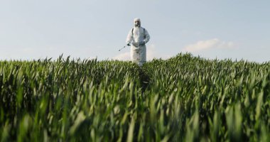 View from below on Caucasian male farmer in white protective costume, mask and goggles walking the green field and spraying pesticides with pulverizator. Man fumigating harvest with chemicals.