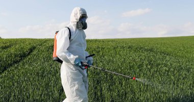 Male farmer in white protective clothes, gloves, mask and goggles walking the green field and spraying pesticides with pulverizator. Man fumigating harvest with chemicals. Fertilizer concept. clipart