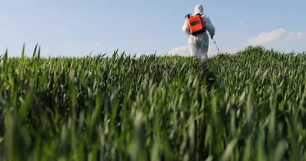 Großaufnahme eines männlichen Bauern im weißen Schutzkostüm, der im grünen Gras auf einem Feld spaziert und Pestizide mit Pulverfass versprüht. Mann begasst Ernte mit Chemikalien. Begasungskonzept. — Stockfoto