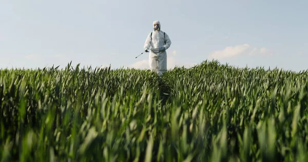 Vista desde abajo en el granjero caucásico con traje protector blanco, máscara y gafas caminando por el campo verde y rociando pesticidas con pulverizador. Hombre fumigando la cosecha con productos químicos . — Foto de Stock