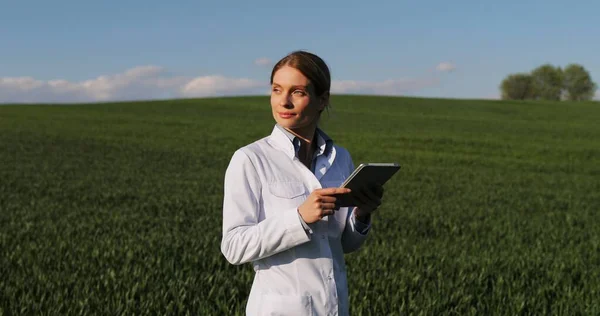 Кавказская красивая женщина-эколог в белом халате ходит по зеленому полю и держит планшетное устройство. Женщина-исследователь, биолог, прогуливающаяся по полю сбора урожая, используя планшетный компьютер . — стоковое фото